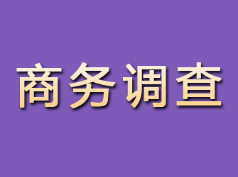 石河子商务调查